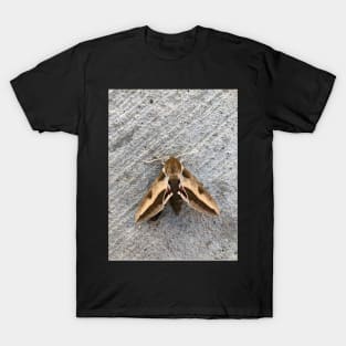 Moth T-Shirt